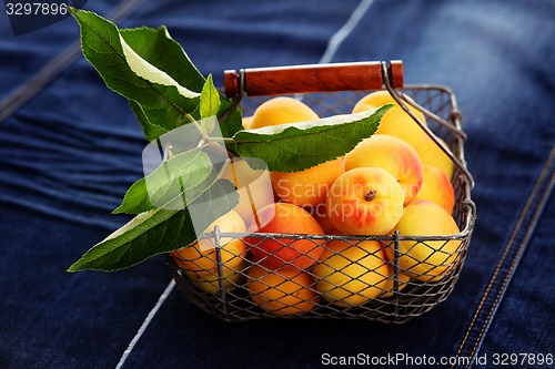 Image of fresh apricots