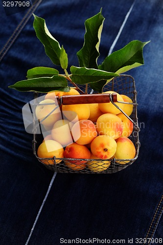 Image of fresh apricots