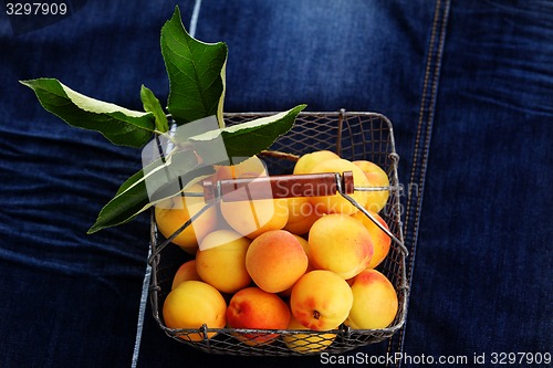 Image of fresh apricots