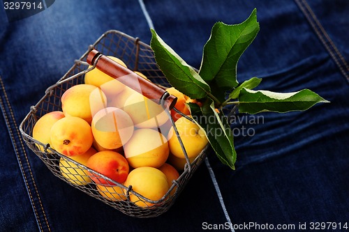 Image of fresh apricots