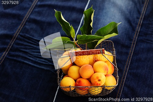 Image of fresh apricots