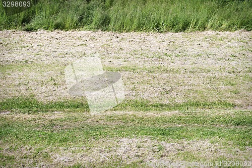 Image of Mown grass field