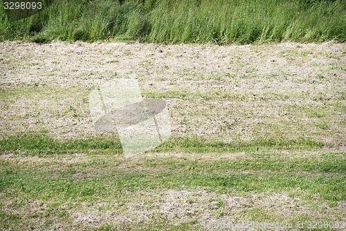 Image of Mown grass field