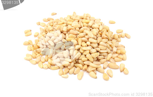 Image of Pine kernels