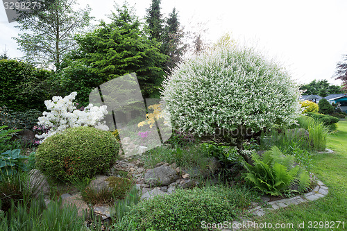 Image of Beautiful spring garden design with rhododendron