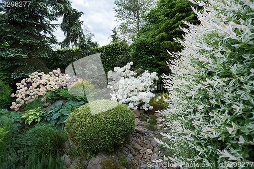 Image of Beautiful spring garden design with rhododendron