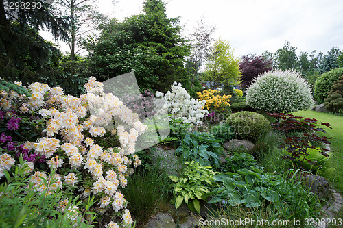 Image of Beautiful spring garden design with rhododendron