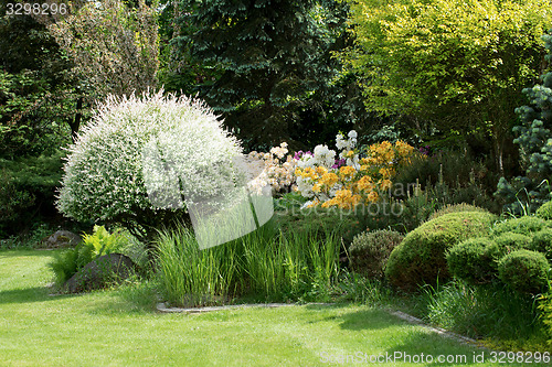 Image of Beautiful spring garden design with rhododendron