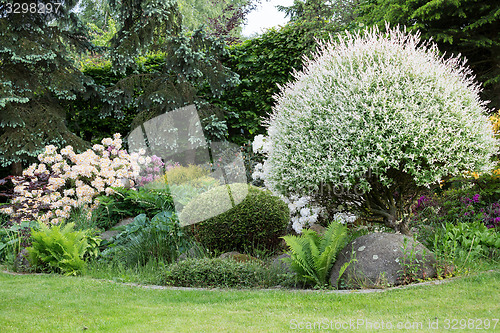 Image of Beautiful spring garden design with rhododendron