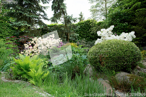 Image of Beautiful spring garden design with rhododendron