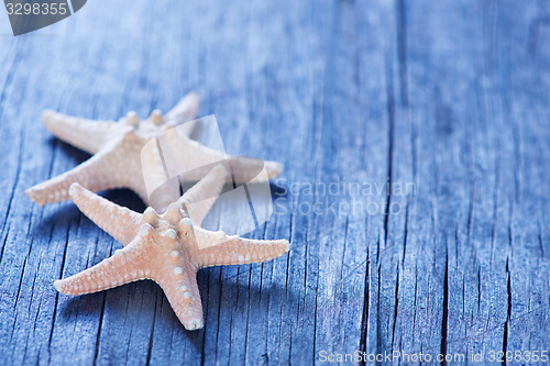 Image of starfish