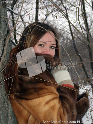Image of The beautiful girl in the winter in park 4