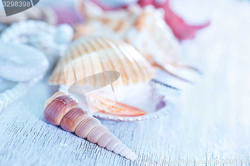 Image of sea shells