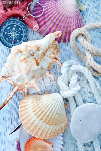 Image of sea shells