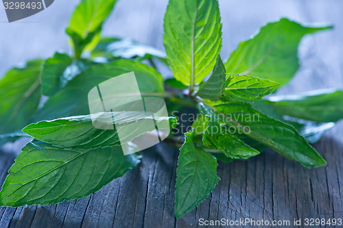 Image of fresh mint