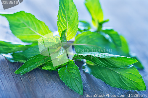 Image of fresh mint