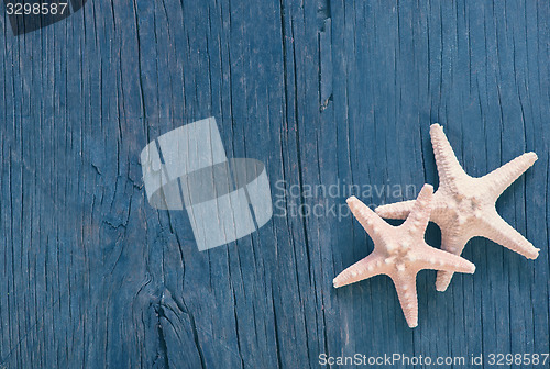 Image of starfish