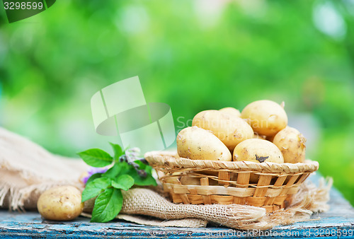 Image of raw potato