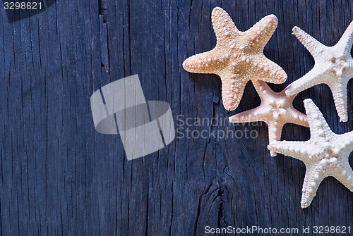 Image of starfish