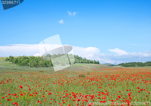 Image of nature background