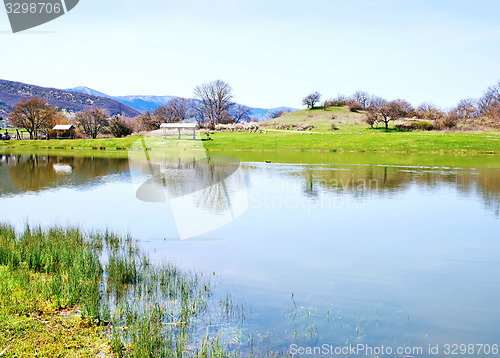 Image of nature