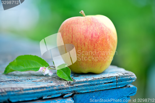 Image of apple