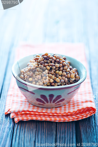 Image of lentil