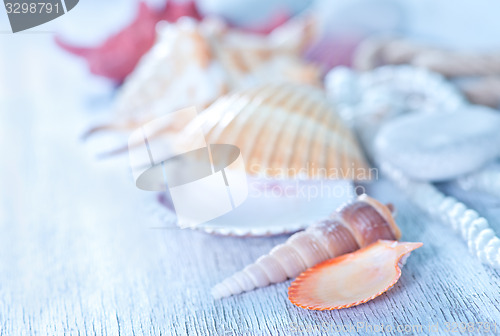 Image of sea shells