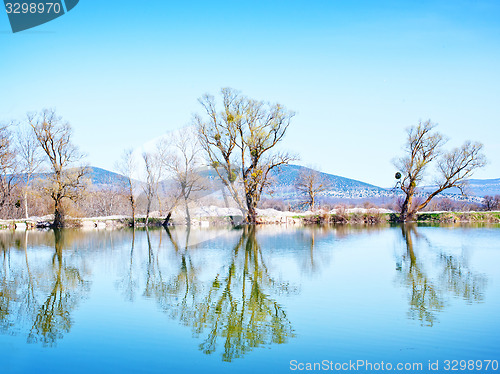 Image of nature