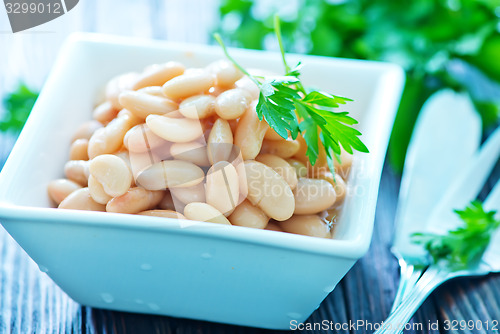 Image of white bean