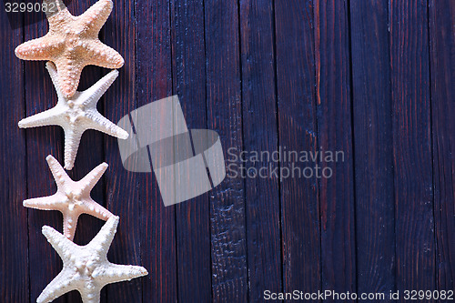 Image of starfish