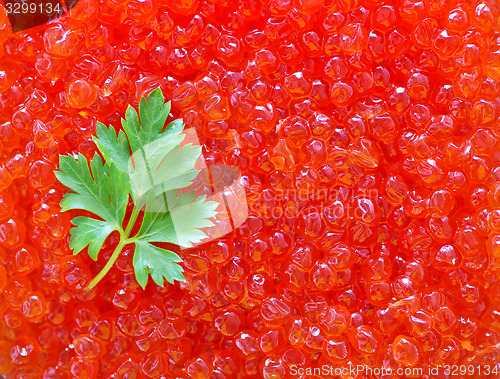 Image of salmon caviar