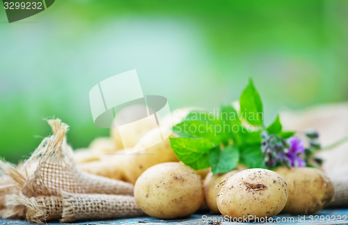 Image of raw potato