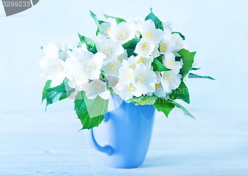 Image of jasmine