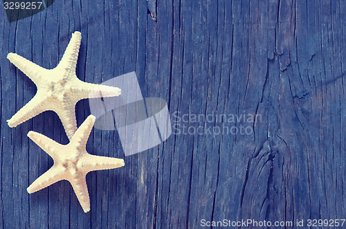 Image of starfish