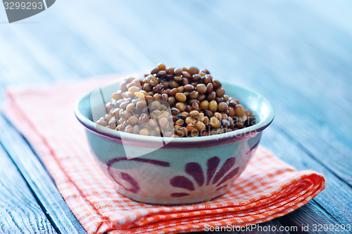 Image of lentil