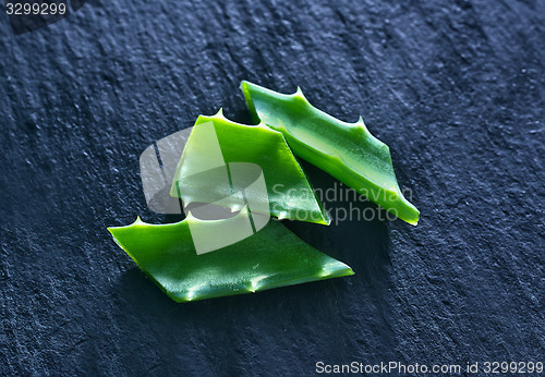 Image of aloe