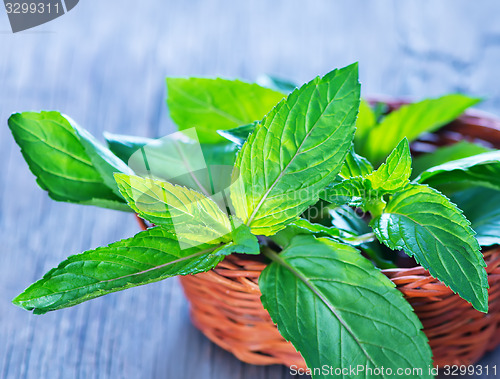 Image of fresh mint