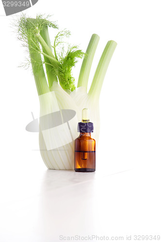 Image of fennel essential oil