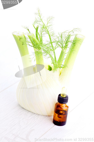 Image of fennel essential oil