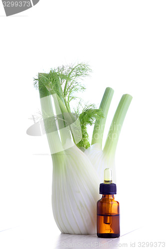 Image of fennel essential oil