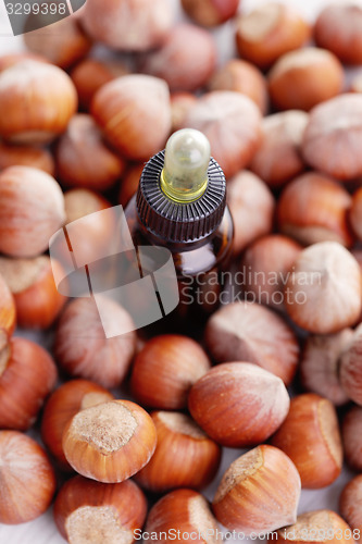 Image of hazelnut essential oil
