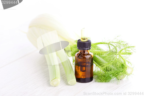 Image of fennel essential oil