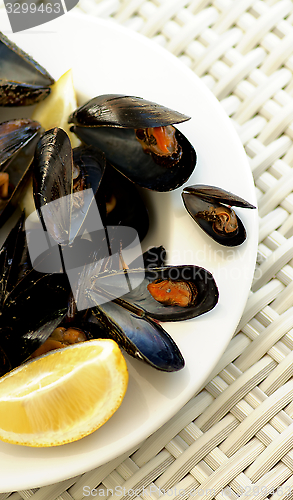 Image of Mussels