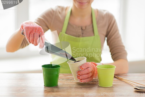 Image of close up of woman hands with trowel sowing seeds