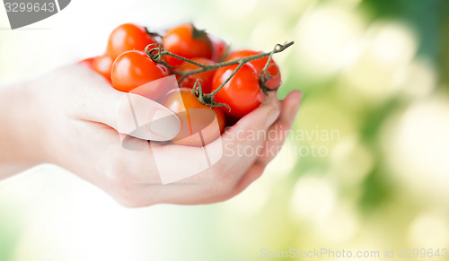 Image of close up of woman hands holding cherry tomatoes