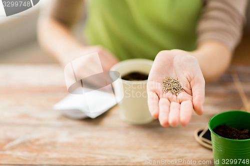 Image of close up of woman hand holding seeds