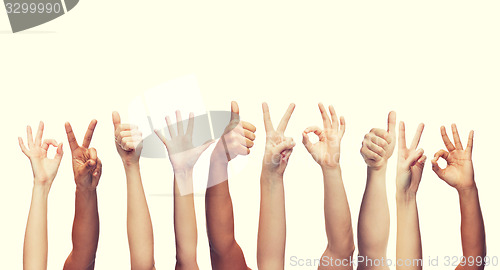 Image of human hands showing thumbs up, ok and peace signs