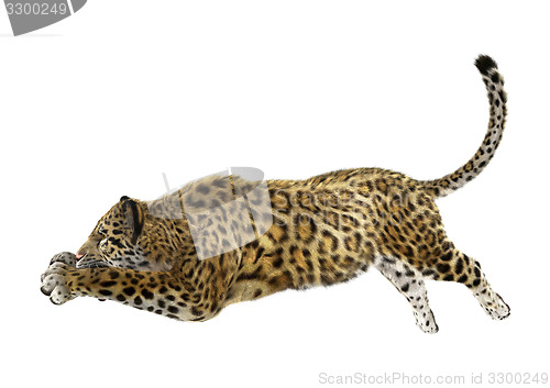 Image of Jaguar