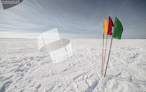 Image of Flags on the background of winter sky